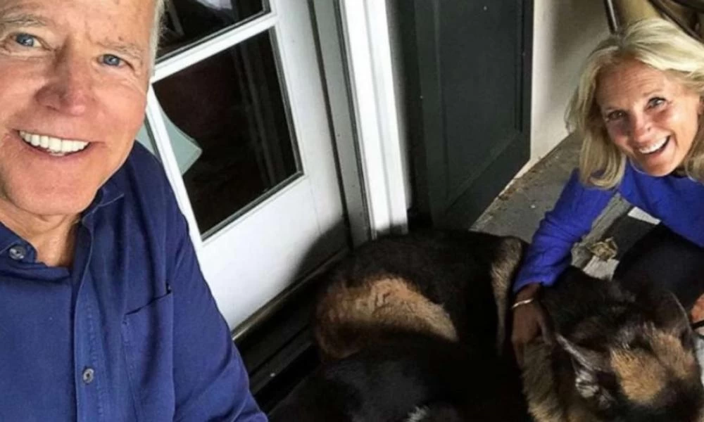 ΗΠΑ: Πίσω στο σπίτι στάλθηκαν τα σκυλιά του Μπάιντεν λόγω «περιστατικού δαγκώματος»